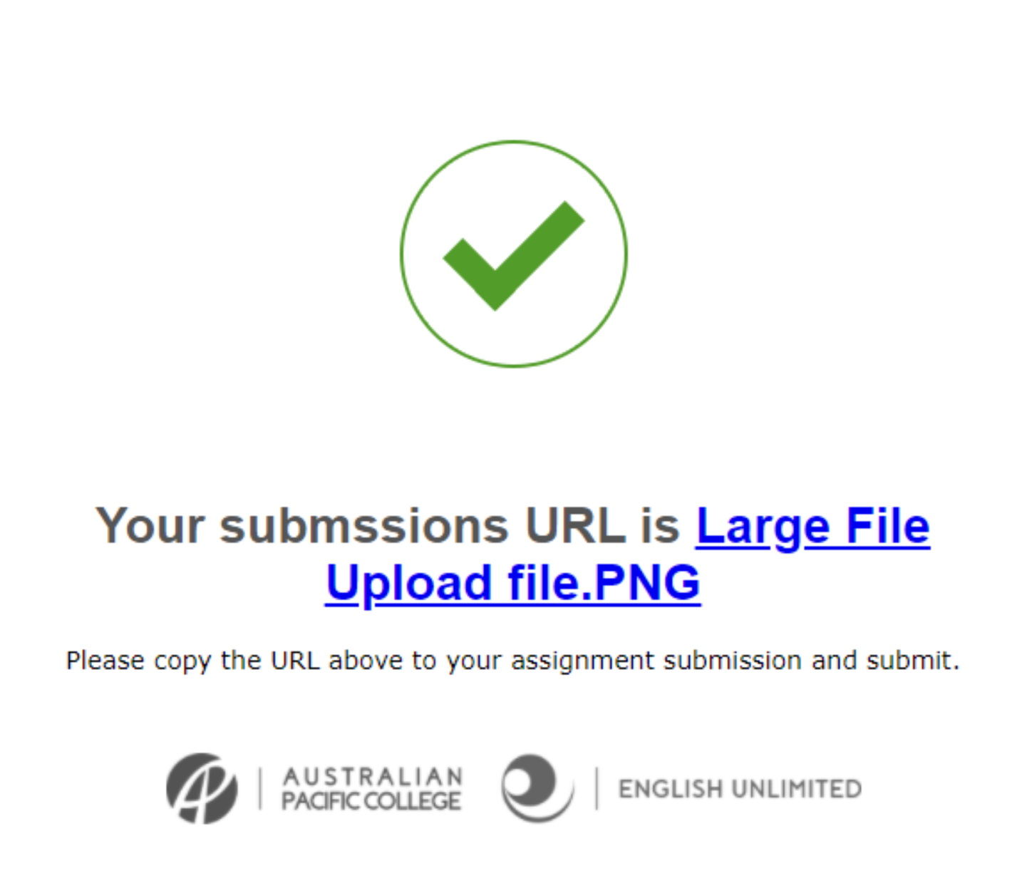 large_file_successful.PNG
